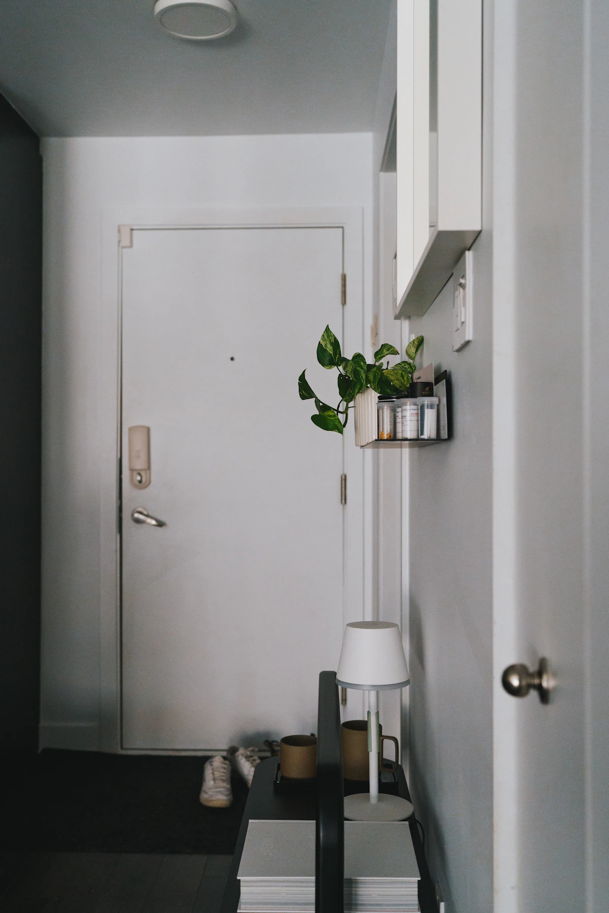 Bright compact entryway with a plant and small landing area