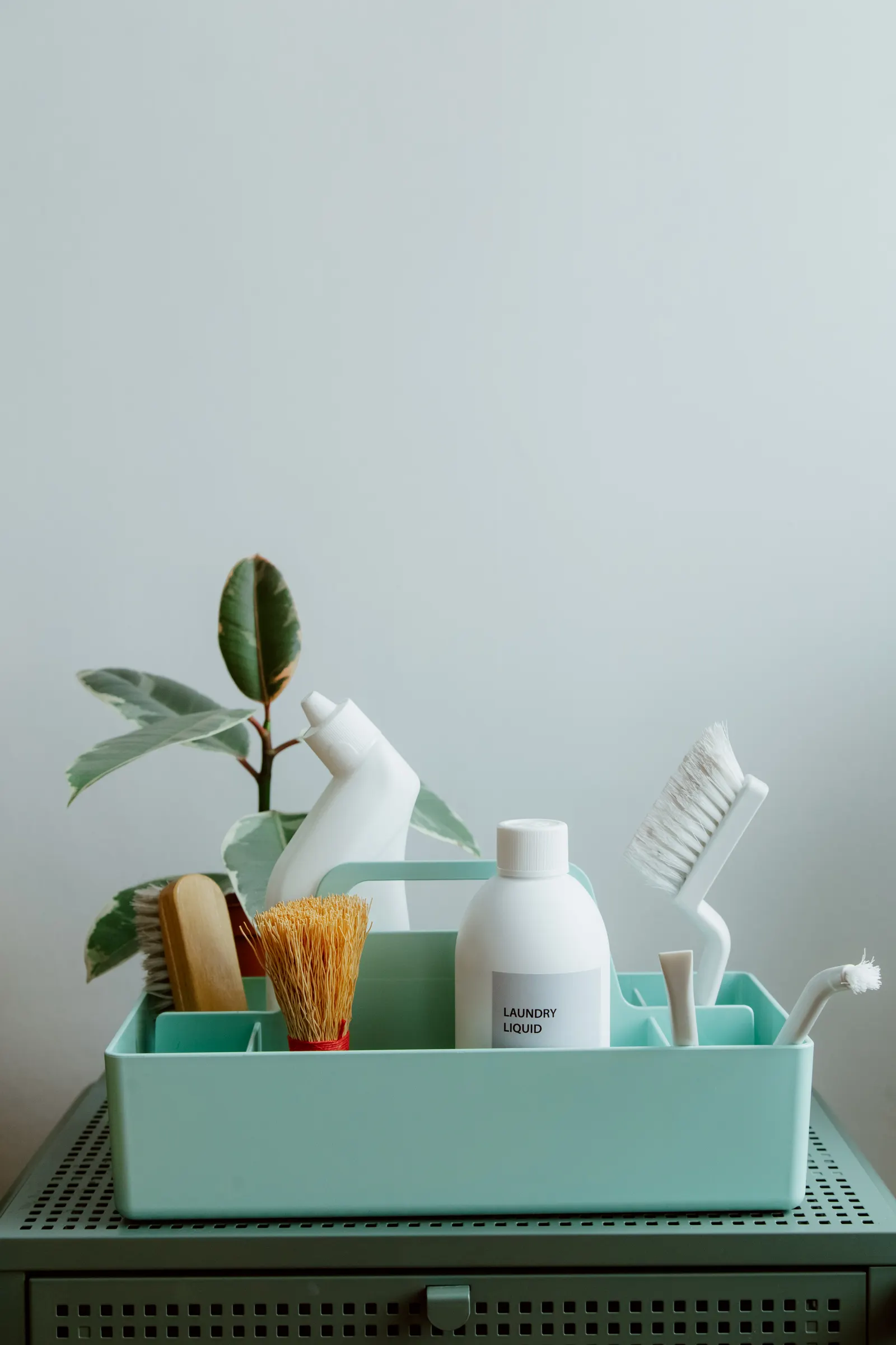Cleaning and laundry products grouped in a compact handled organizer