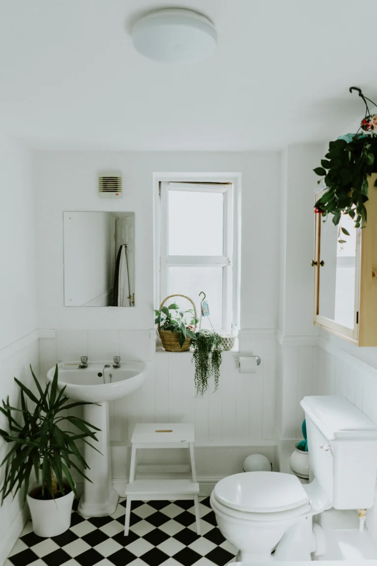Compact bathroom with shelving and organized vanity storage